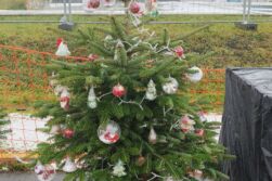 Náš stromeček ve Škodaparku a jak jsme vyráběli ozdoby na něj