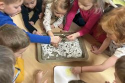 Motýlci – Hry se sněhem a ledem