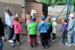 Školkový výlet Farmapark u Toma