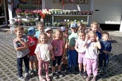 Motýlkové – nákup a sázení vřesů